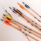 pioneros-flechas-espalda-clavadas_thumb