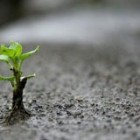 ecosistema-emprendedor-propuesta-valor-modelo-negocio.jpg