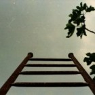 crecer-unica-opcion-estrategica