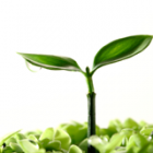 emprender-orientado-al-cliente-lean-startup