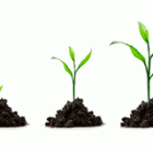 motor-crecimiento-growth-engine-modelo-negocio-factor.png