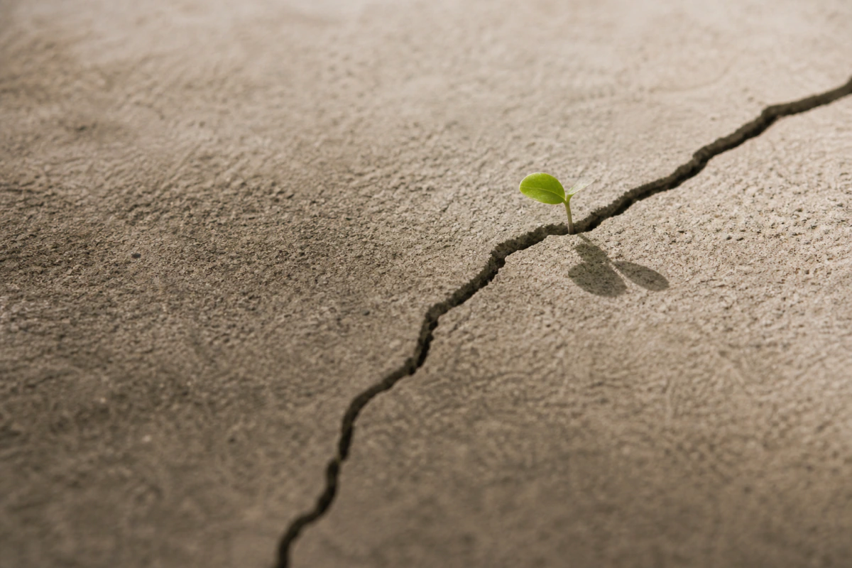 Emprendedores, resiliencia, cisnes negros…e inconsciencia