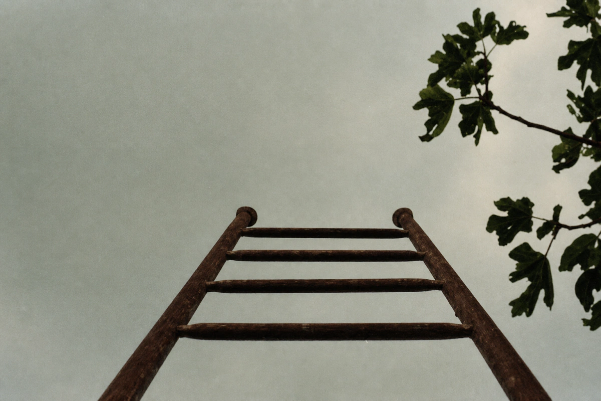 ¿Crecer es nuestra única opción estratégica?