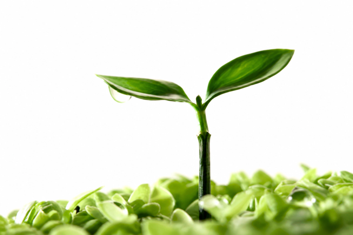 Las claves de emprender orientado al cliente